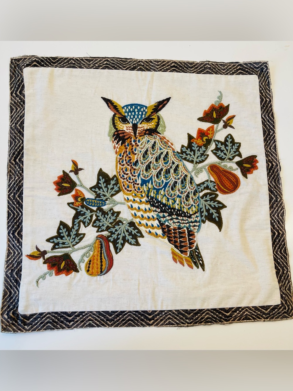 Pottery Barn Embroidered Owl (Halloween) pillow cover 20 x 20